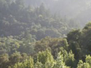 The Hope Exhibit &ndash; Barcelona, Spain
